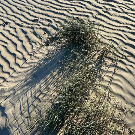 6 Person In Fano-by Traum Tatil Evi Fanø